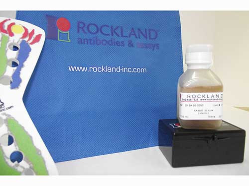 Rabbit Serum Sterile 1L 
 {2976-D109001000}