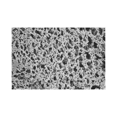 Nylon Membrane Filter, 5.0 um, 142mm 
 {2038-N500A142C PK}