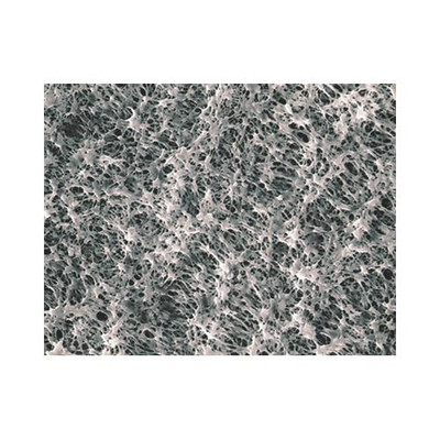 Hydrophilic PTFE Membrane Filter, 0.50 u 
 {2038-H050A293D PK}