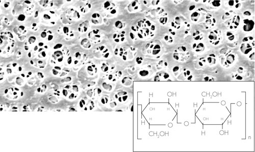 RCMembrane; 0.45um; 25mm; 100pc 
 {2997-1840625N PK}
