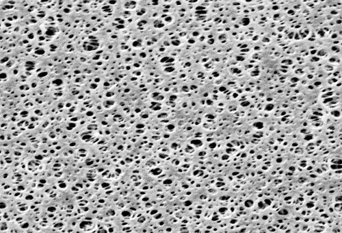 PES Membrane; 0.1um; 47mm; 100pk 
 {2997-1545847N PK}