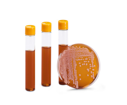 Standard Agar. 50 tubes 
 {2997-14131K PK}