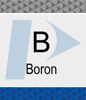 Boron (B) Pure Plus Standard {2886-N9304210}