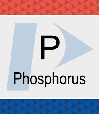 10,000 mg/L Phosphorus in H2O - 125 mL {2886-N9304119}