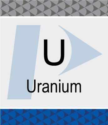 Uranium (U) Pure Plus Standard, 1,000 ug/mL, 2% HNO3, 125 mL {2886-N9303844}