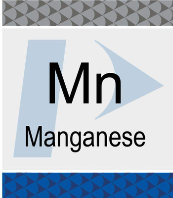 Manganese (Mn) Pure Plus Standard, 1,000 ug/mL, 2% HNO3, 125 mL {2886-N9303744}