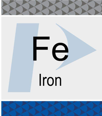 Iron (Fe) Pure Plus Standard, 1,000 ug/mL, 2% HNO3, 125 mL {2886-N9303738}