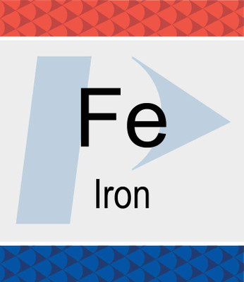 Iron (Fe) Pure Standard, 1,000 ug/mL, 2% HNO3, 500 mL {2886-N9300126}