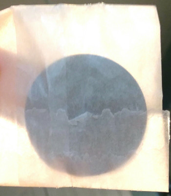 Bakeout Disk for PID {2886-03302989}