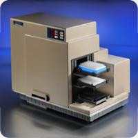 8 Channel Pipet Head For Flexstation 3 
 {2796-02006182}