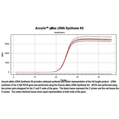 qMax cDNA Synthesis Kit, 250 reactions