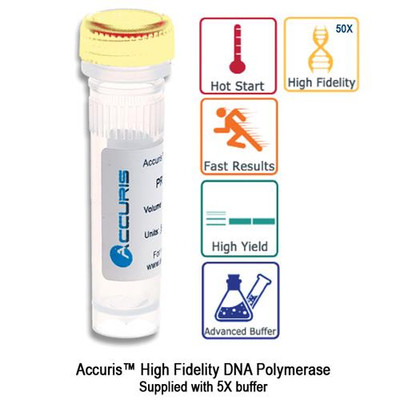 Accuris High Fidelity DNA Polymerase, 250 units (2u/uL)