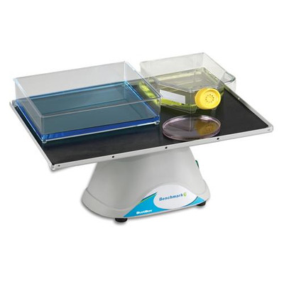 Rocker 3D Fixed Speed Mini Blotboy 230V