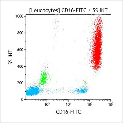 CD16 G1 FITC 100T IOTest