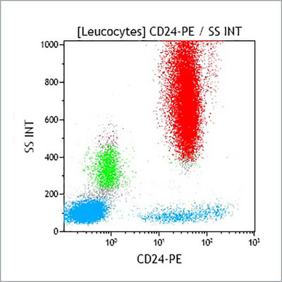 CD24 G1 PE 100T IOTest