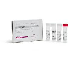 qPCRBIO Probe 1-Step Virus Detect Lo-ROX 
 {3352-PB2551500}