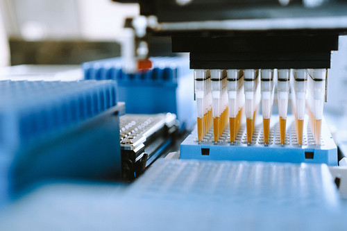 exsigTMag,5000 extractions 
 {3359-ZEXSIGMAG PK}