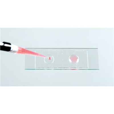 Microscope Slide Wells