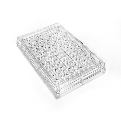 Sterile 40 ml inoculum tray