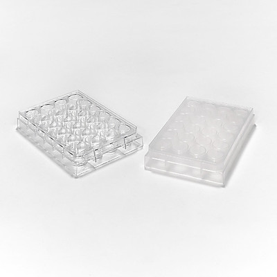 24-well microplate