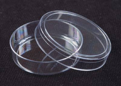 VWR® Disposable Petri Dishes. 
 {3211-25384318 CA}
