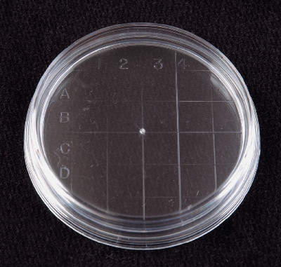 VWR® Disposable Petri Dishes. 
 {3211-25384338 CA}
