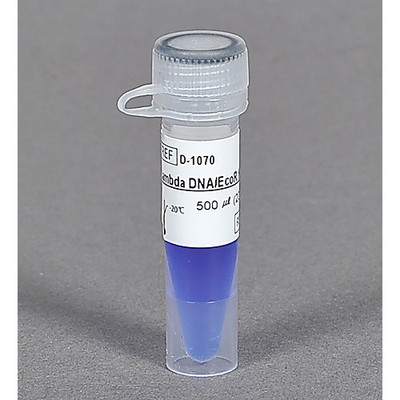 Lambda DNA/EcoRI + HindIII Marker, 2,500 l (1,000 loadings)