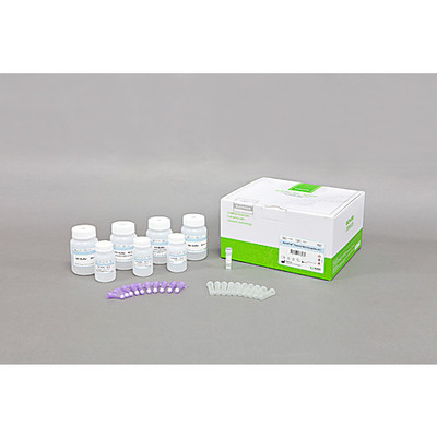 AccuPrep Plasmid Mini Extraction Kit, 50 extractions