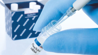 20 nmol siRNA delivered in tubes.