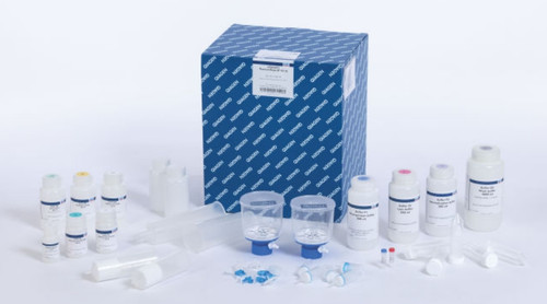 For purification of up to 10 mg transfection-grade plasmid