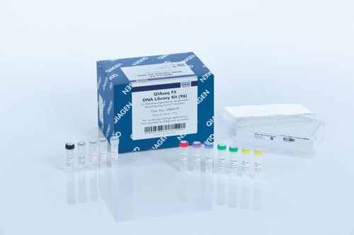 Buffers and reagents for DNA fragmentation (including end