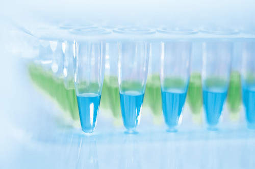 For fast, reliable quantification of up to 5 RNA targets in a