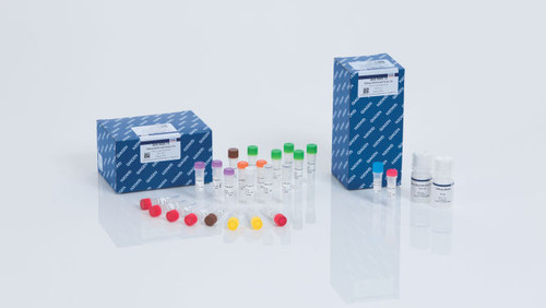 Kit containing reagents (except bisulfite conversion and indic