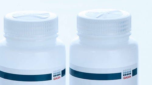 Blood & Cell Culture DNA Kits provide gravity-flow, anion-exch