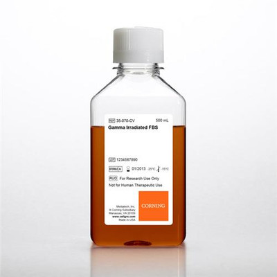 Fetal Bovine Serum, Premium, Gamma-Irradiated, 500mL Gamma irradiation provides a method for complete viral and mycoplasma deactivation while maintaining 
 {2303-35070CV}