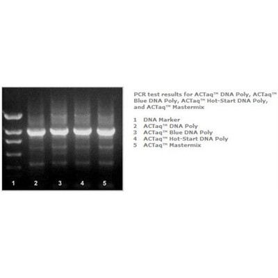 ACTaqT DNA Taq Polymerase, 250Units/Vial  
 {2027-E2100250U}
