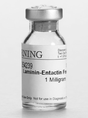 Laminin Mouse Natural Ultrapure 1 mg 
 {2303-354239}