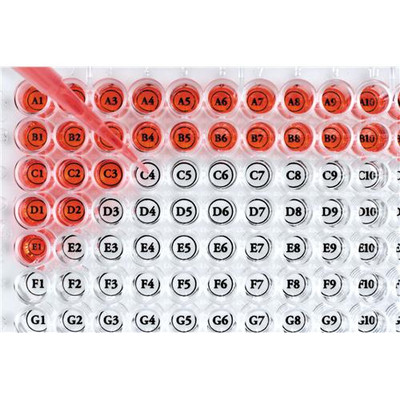 96 Well Orienter {2358-WELL1000 PK}