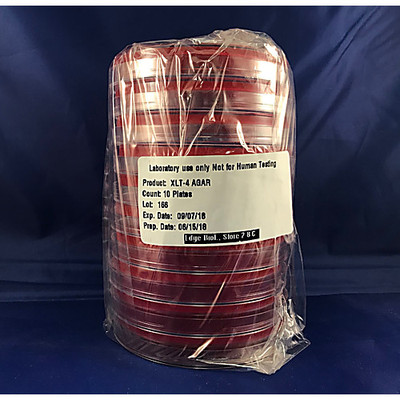 XLT-4 Agar Plate 10/PK