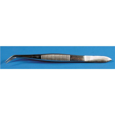 6in. Forceps, Curved in.Ain. Tips, with Lock