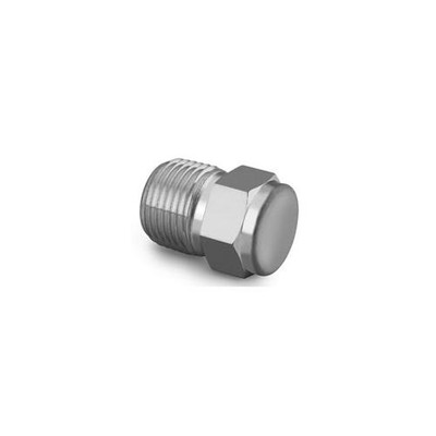 Sample Cylinder 316 SS End Pipe Plug