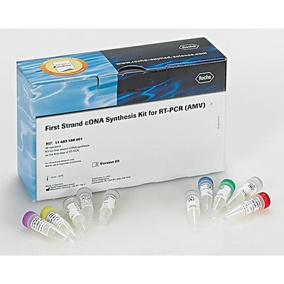 FIRST STRAND CDNA SYNT. KIT FOR RT-PCR {3042-11483188001}
