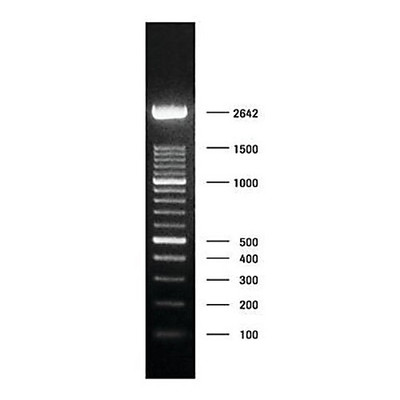 DNA MW-MARKER XIV {3042-11721933001}
