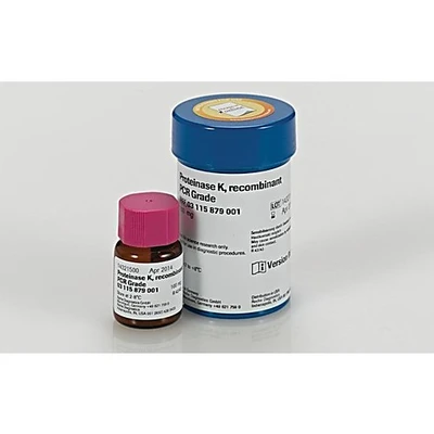 PROTEINASE K