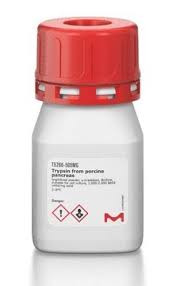 Trypsin from bovine pancreas 
 {3042-T14261G}