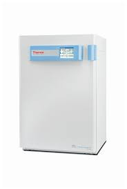 TIPS 10UL NAT XLNGTH 960/PK 
 {2303-4120 PK}