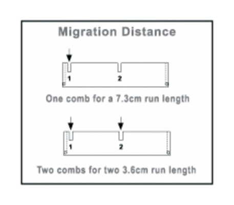 COMB 5 TEETH 1.5MM 7X10 CM 
 {3136-B1A5D}