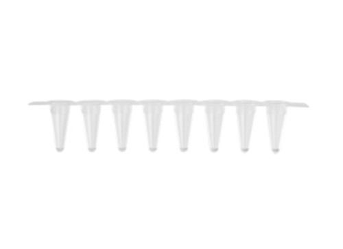 TUBE AND CAP 8 STRIP CLEAR CS 
 {2303-PCR0108LPRTC PK}
