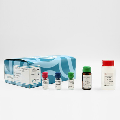 cAMP Gs dynamic kit, 100000 Tests 
 {2013-62AM4PEJ KT}