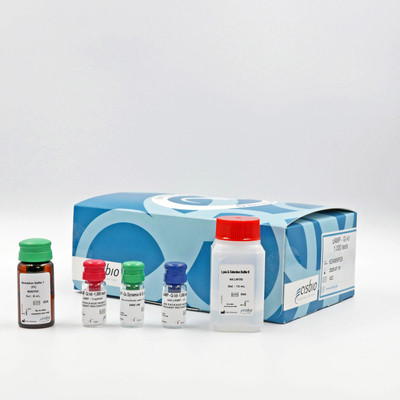 cAMP Gi kit, 100000 Tests 
 {2013-62AM9PEJ KT}